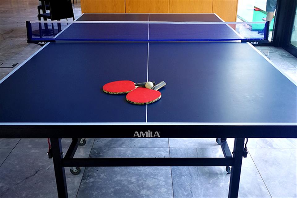 Ping Pong Table by airgame