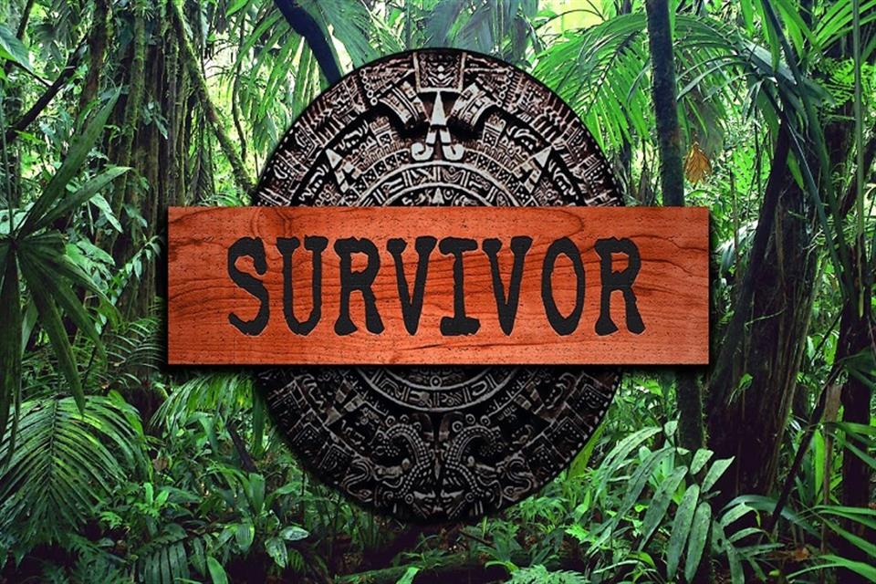 Survivor banner by airgame